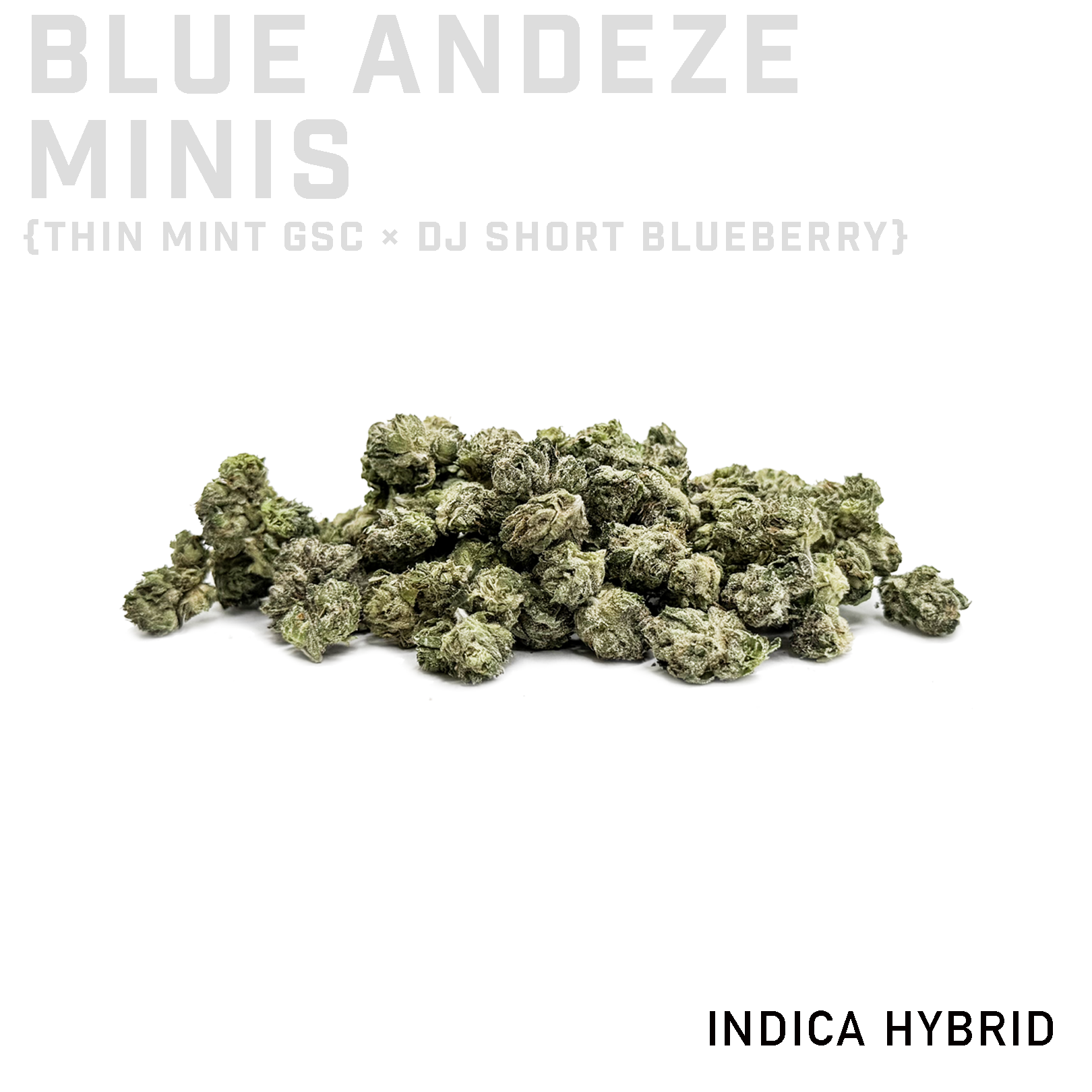 Blue Andeze Minis