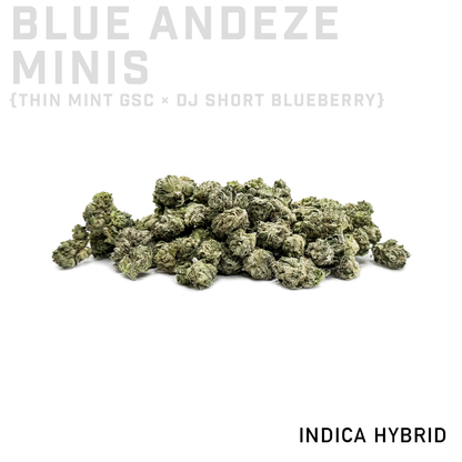 Blue Andeze Minis