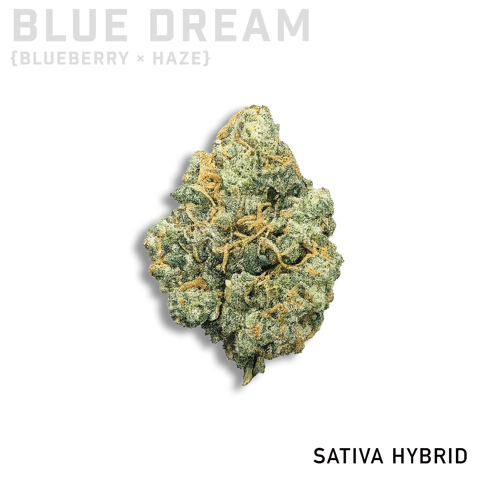 Blue Dream