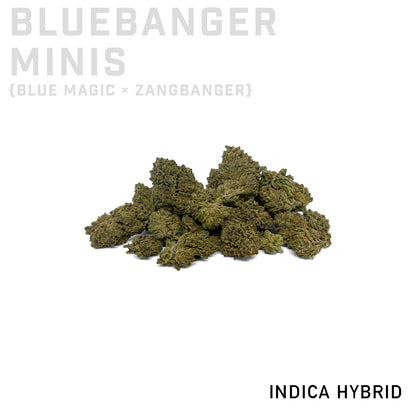 Wizard Trees Bluebanger Minis