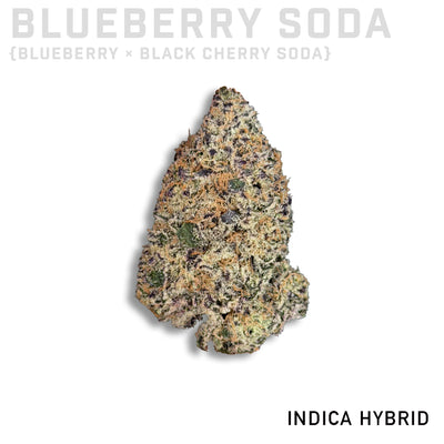 Blueberry Soda