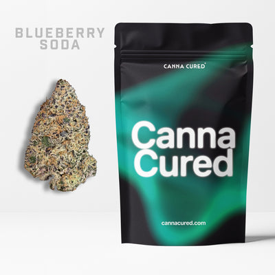 Blueberry Soda