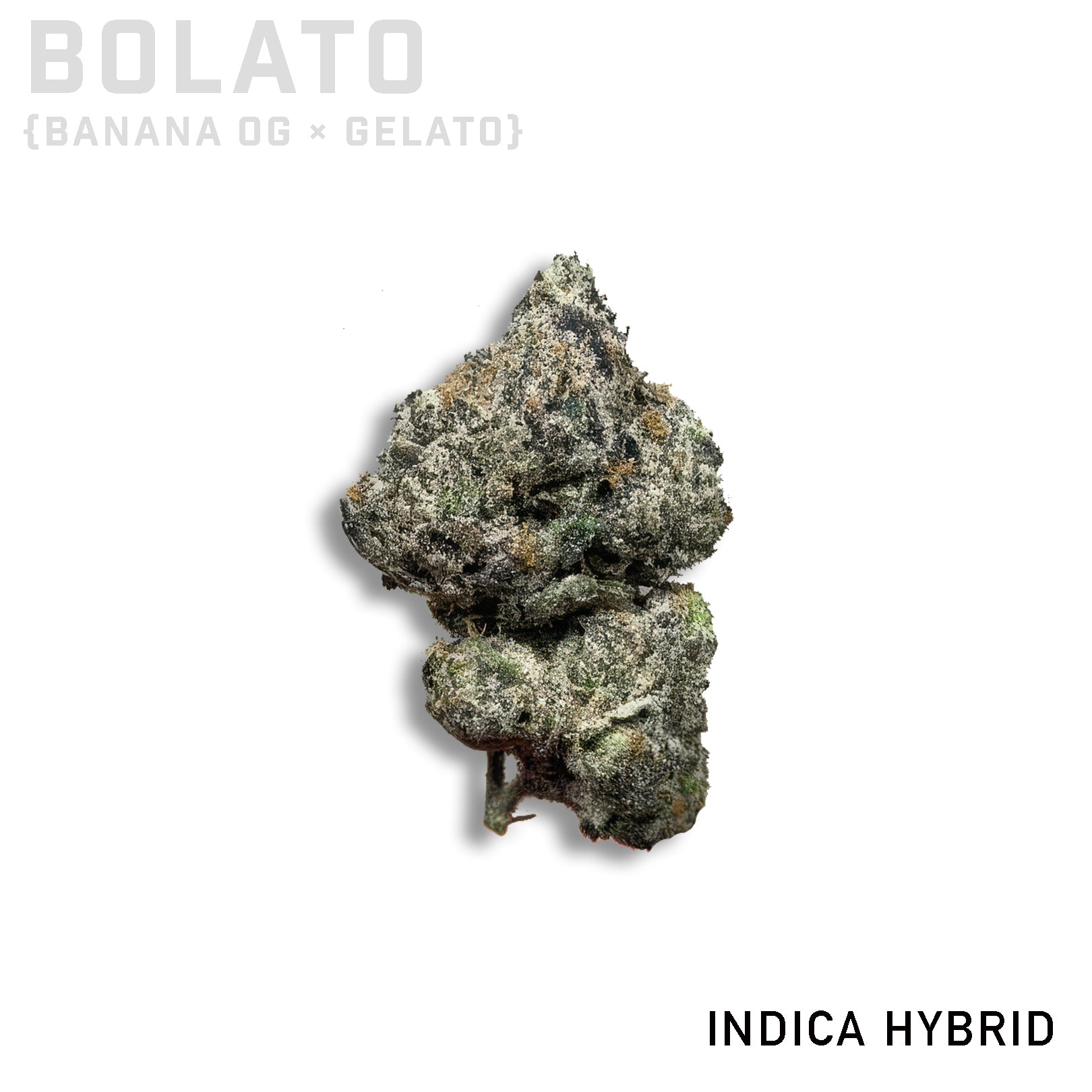 Bolato
