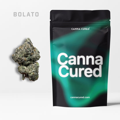 Bolato