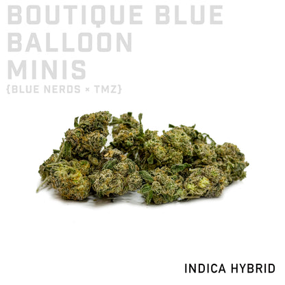 Boutique Blue Balloon Minis