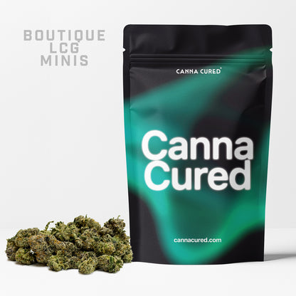 Boutique LCG Minis