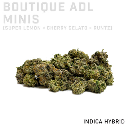 Boutique ADL Minis