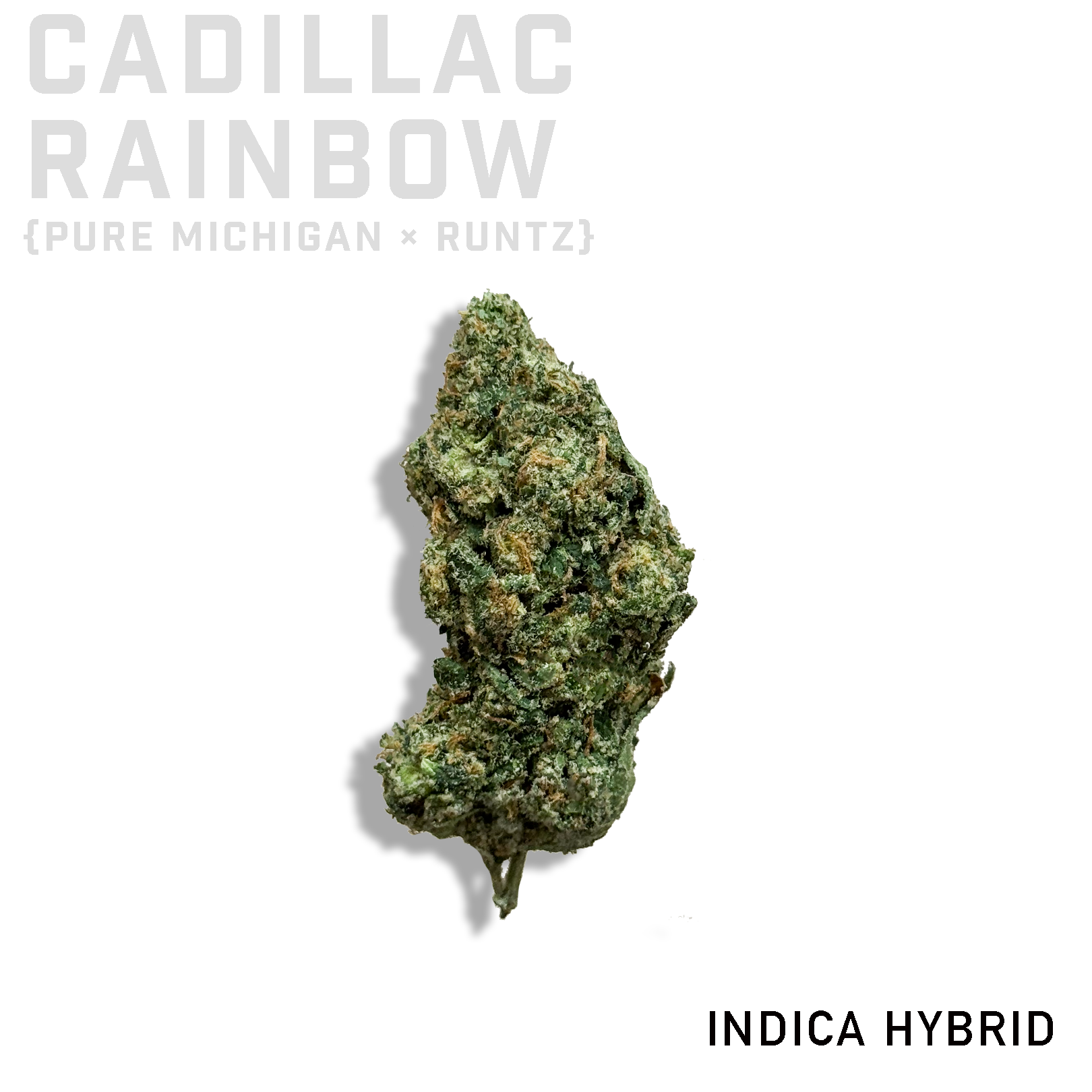 Cadillac Rainbow