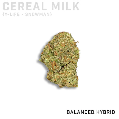 Cereal Milk