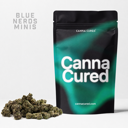 Blue Nerds Minis