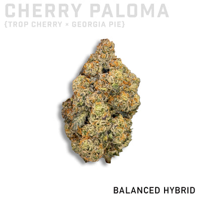 Cherry Paloma