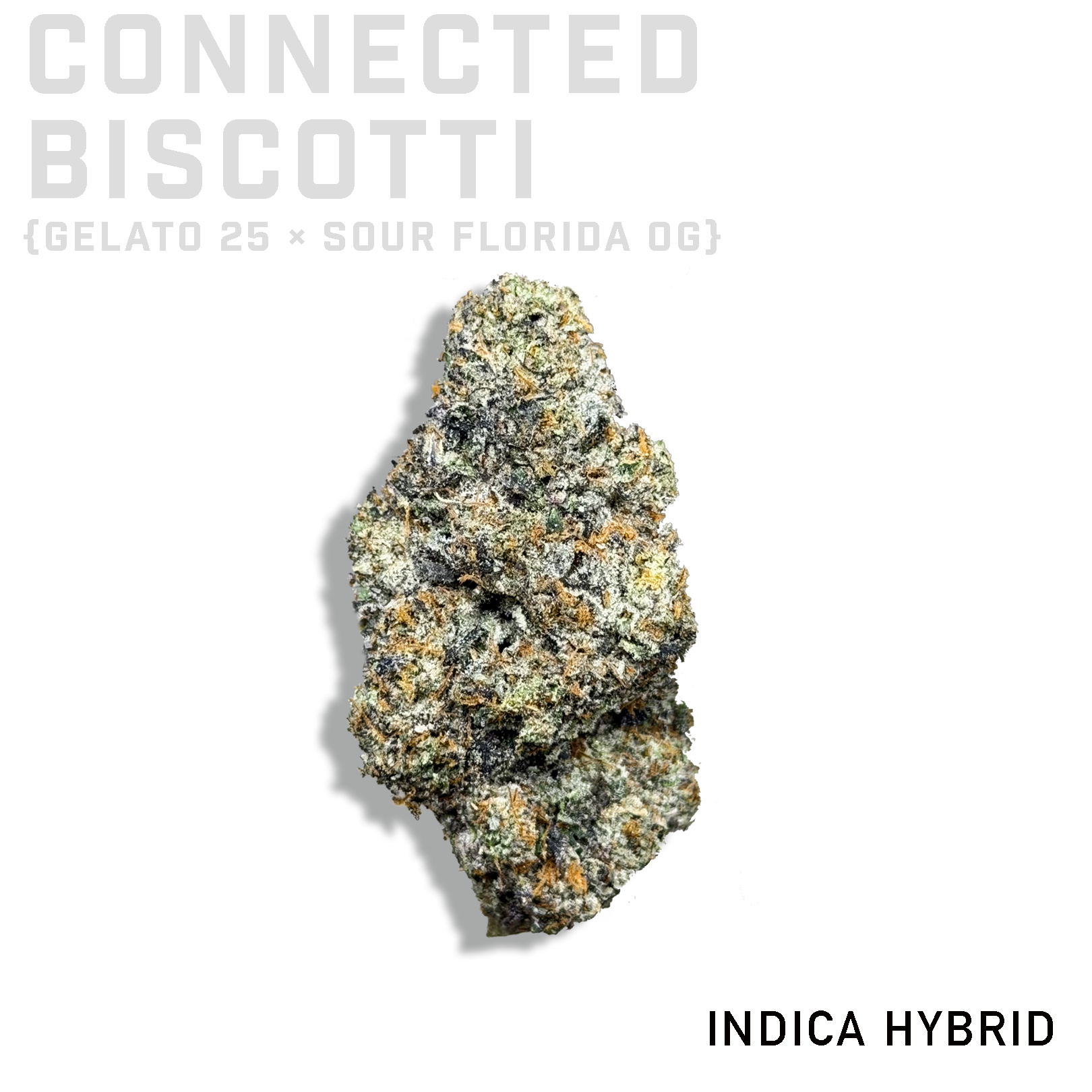 Connected Biscotti