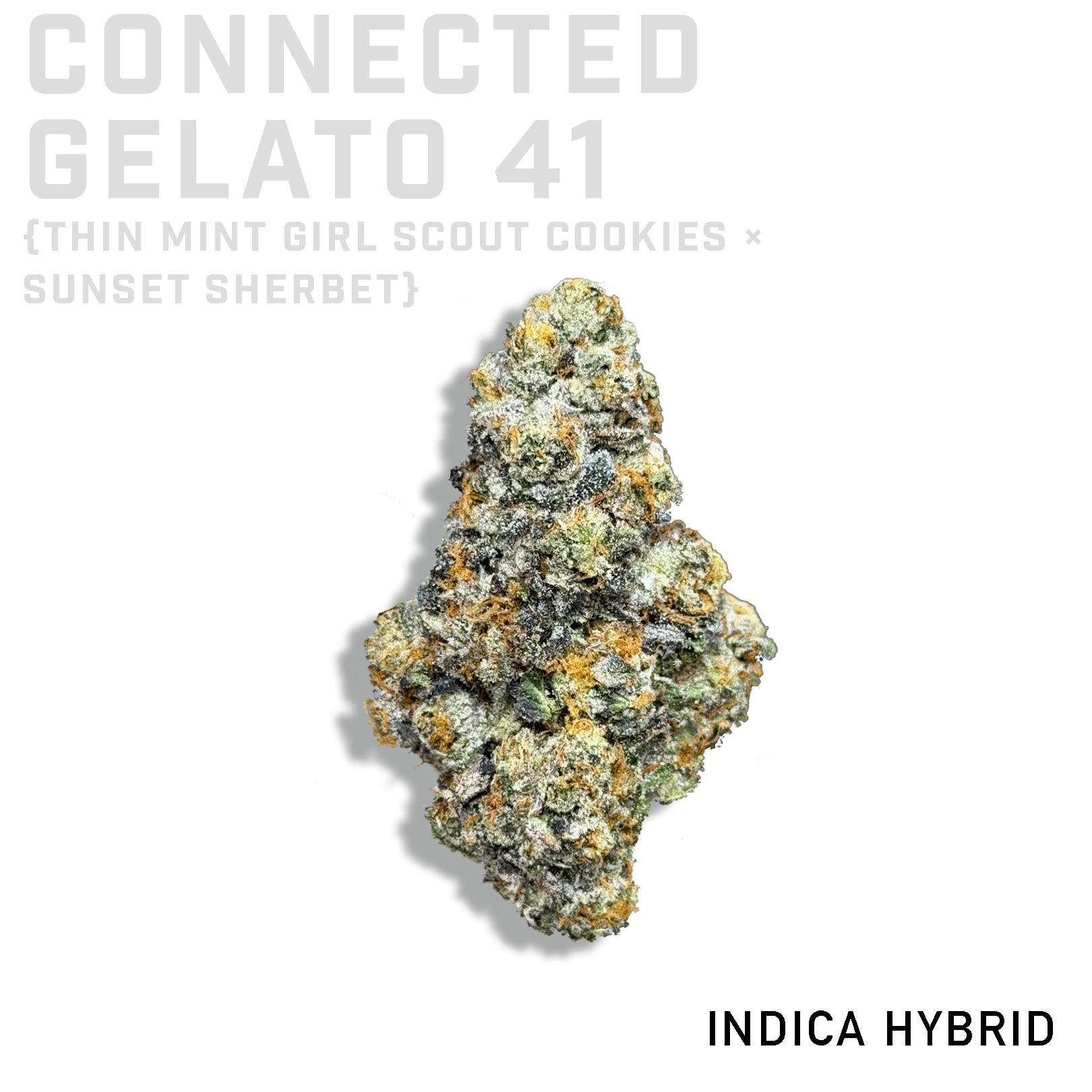 Connected Gelato 41