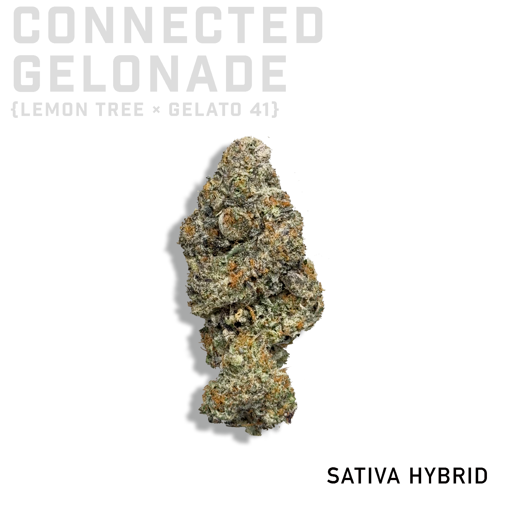 Connected Gelonade