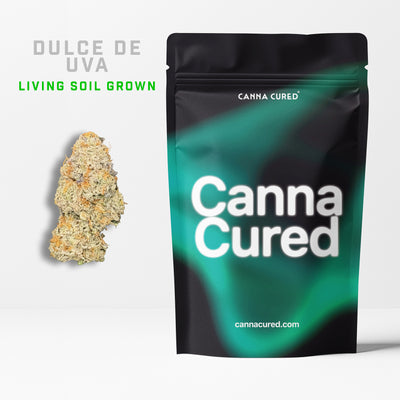 Dulce De Uva Living Soil Grown