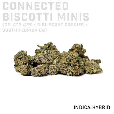 Connected Biscotti Minis