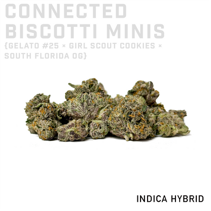 Connected Biscotti Minis