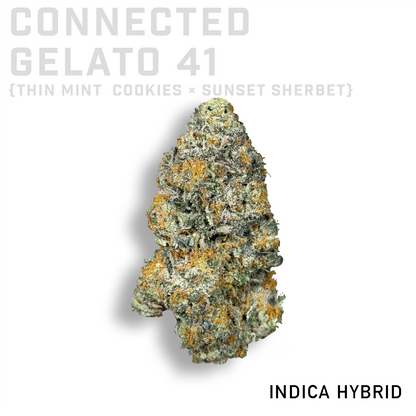 Connected Gelato 41