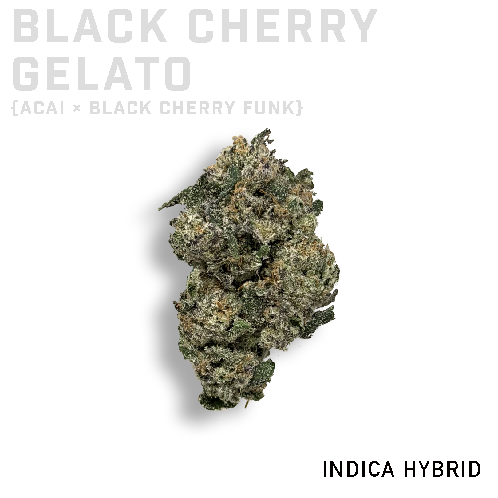 Black Cherry Gelato