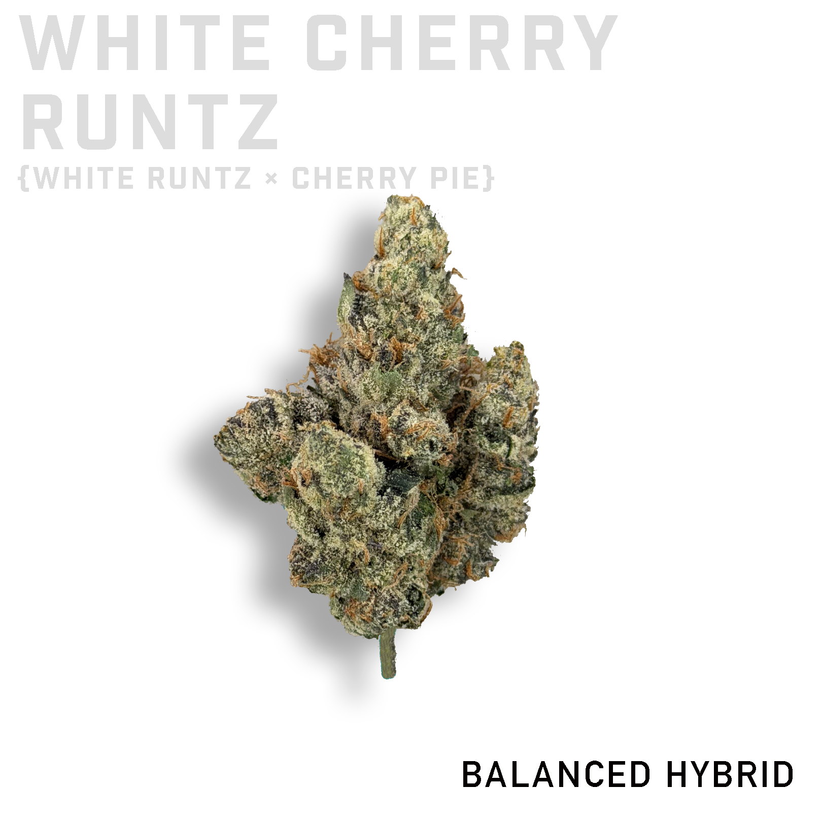 White Cherry Runtz