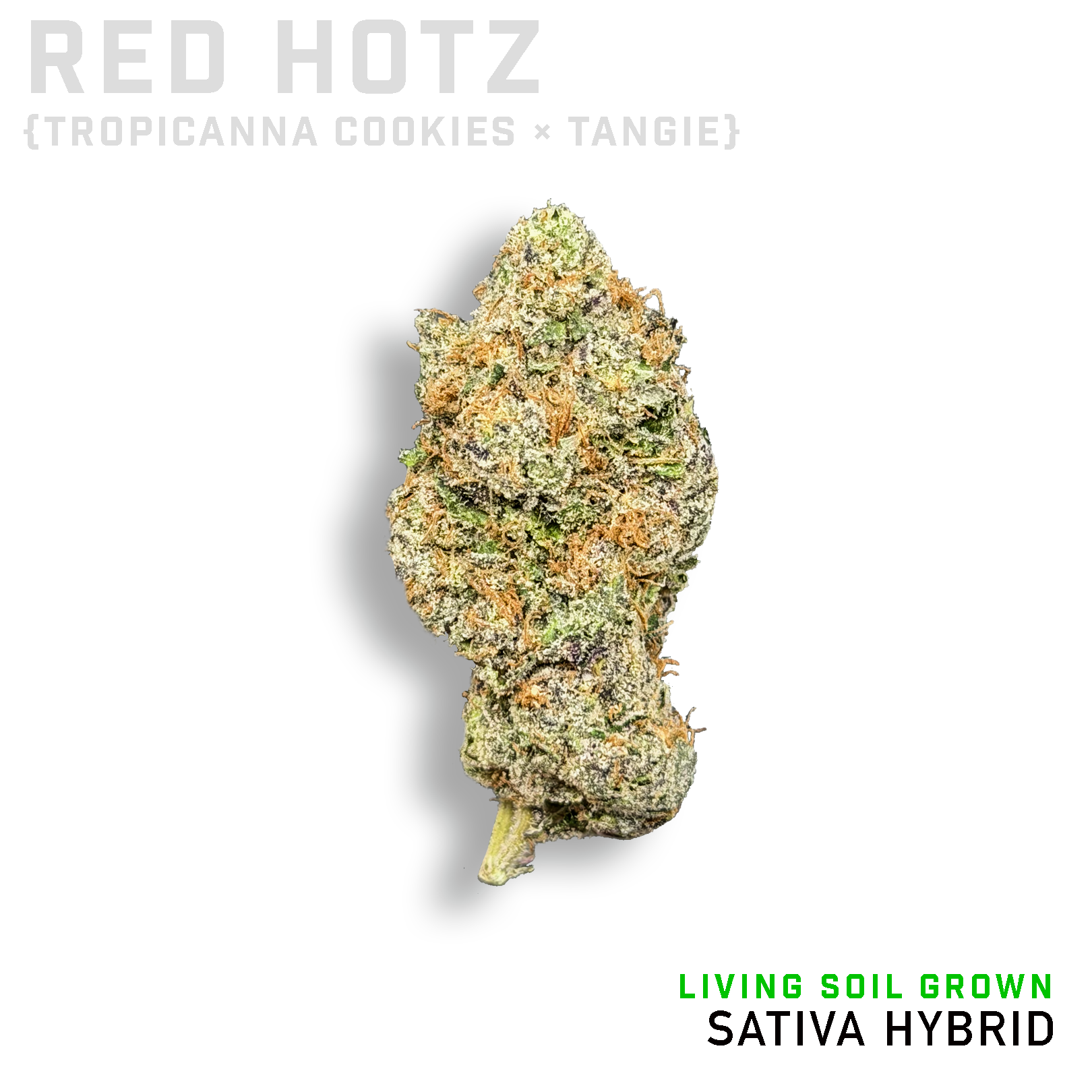 Red Hotz Living Soil Grown