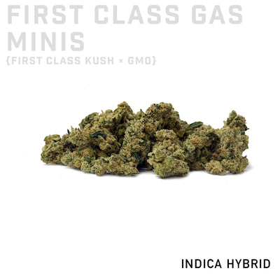 First Class Gas Minis