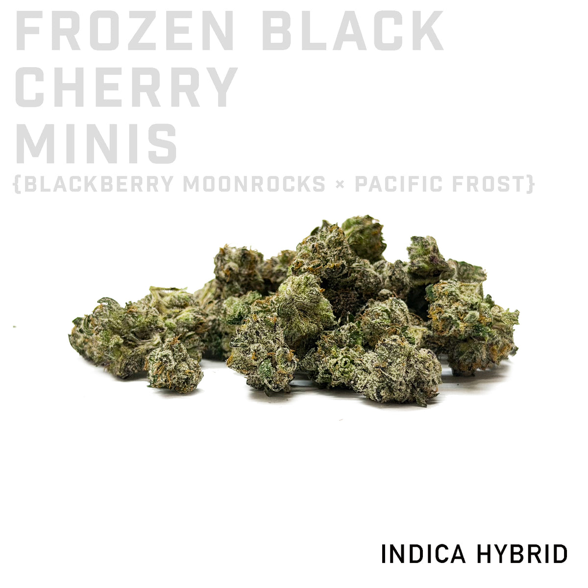 Frozen Black Cherry Minis