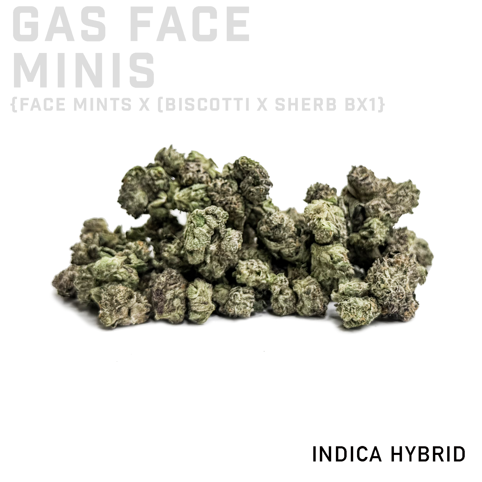 Gas Face Minis