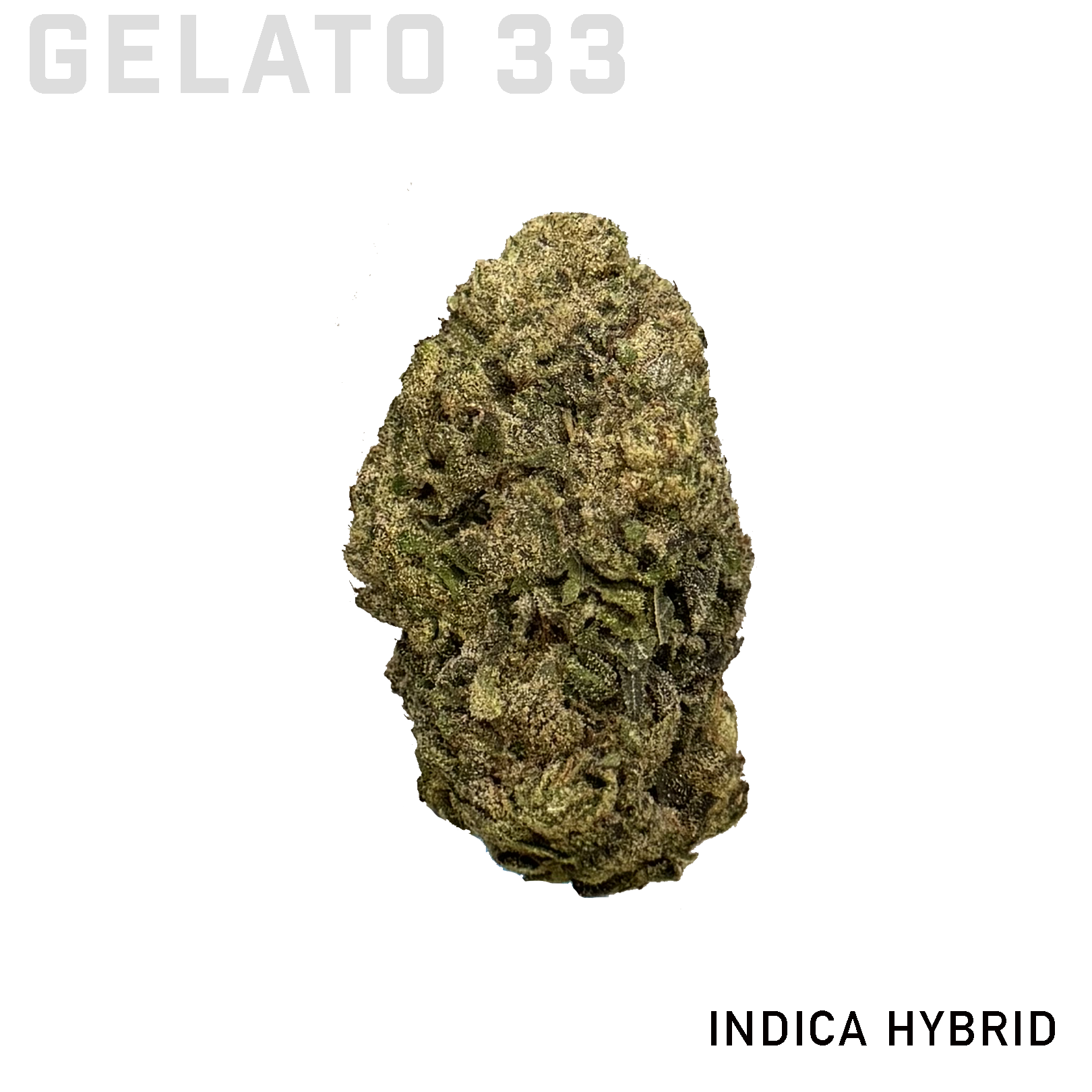 Gelato 33