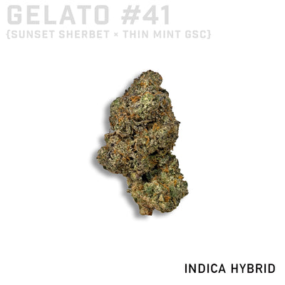 Gelato 41