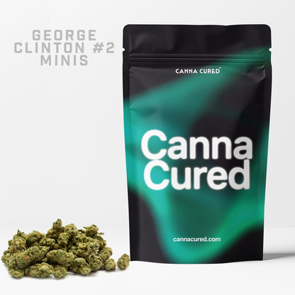 George Clinton #2 Minis