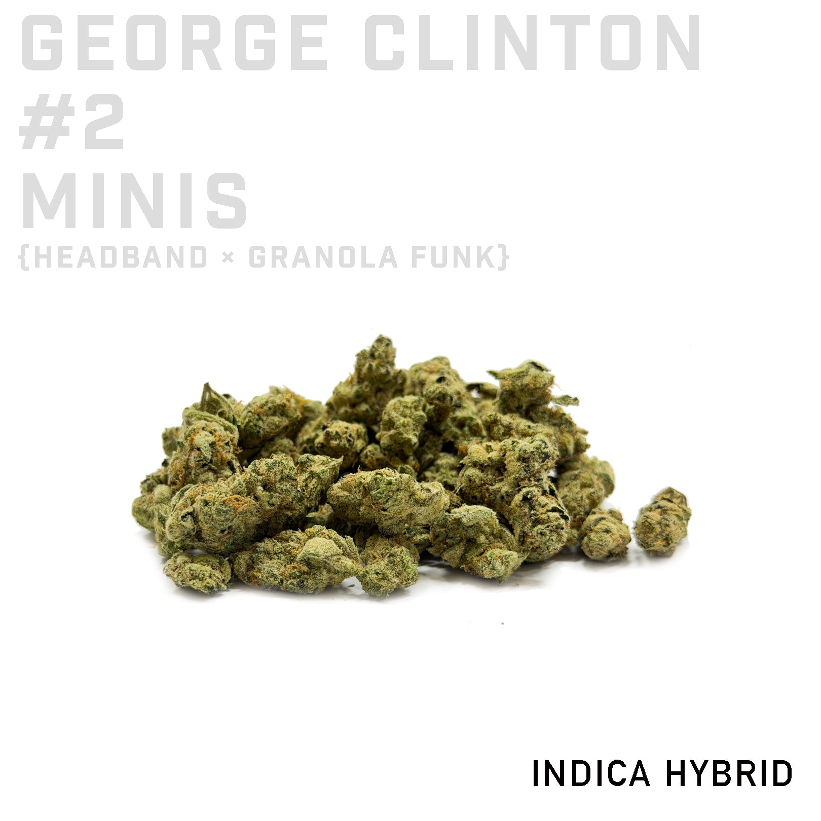 George Clinton #2 Minis