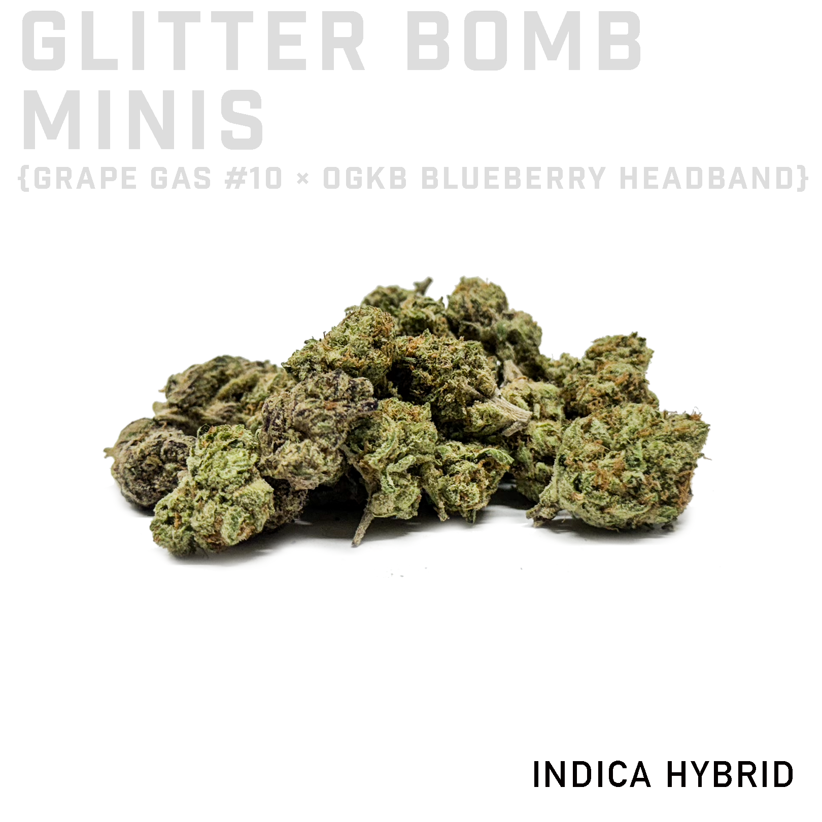 Glitter Bomb Minis