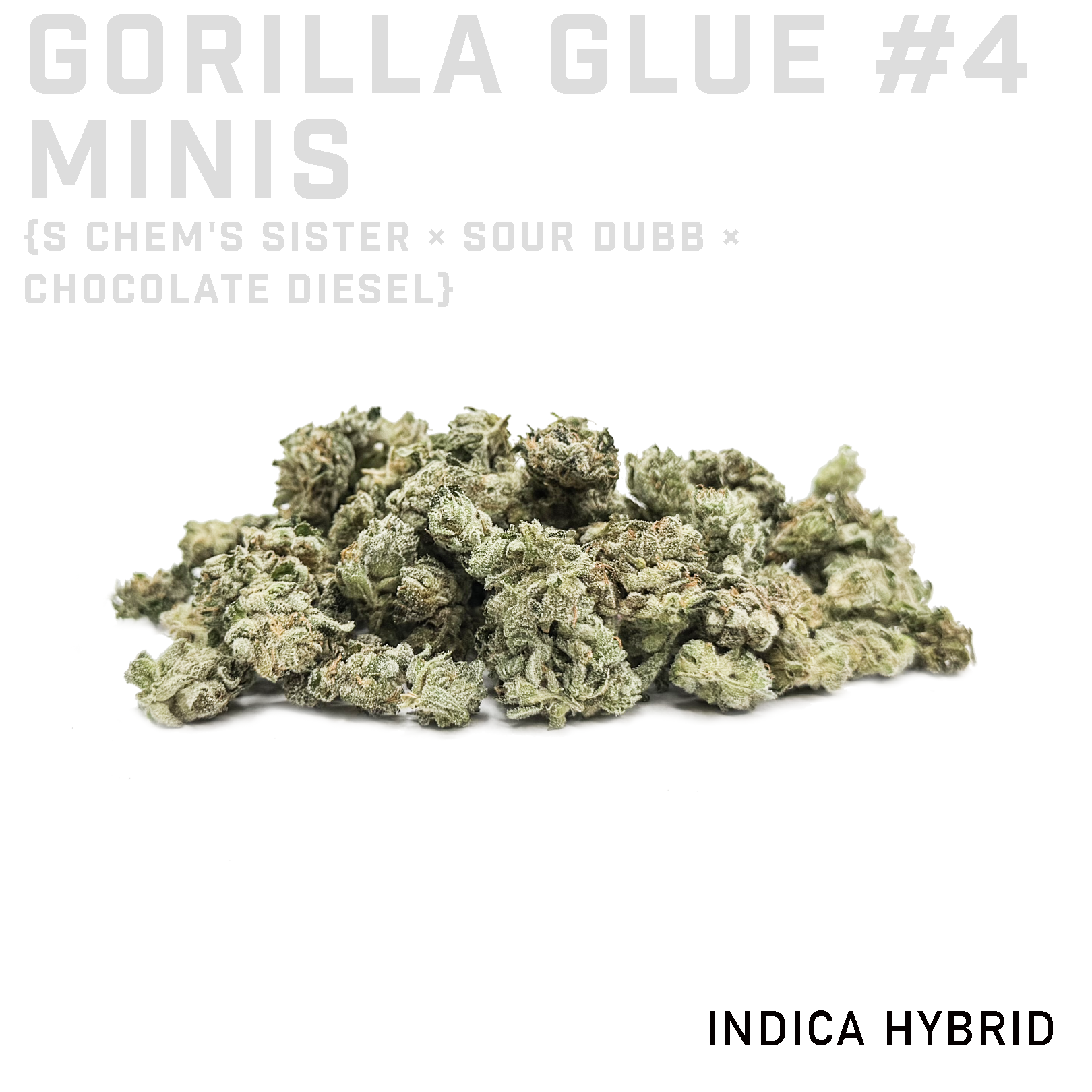 Gorilla Glue #4 Minis