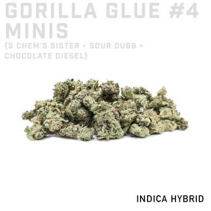 Gorilla Glue #4 Minis