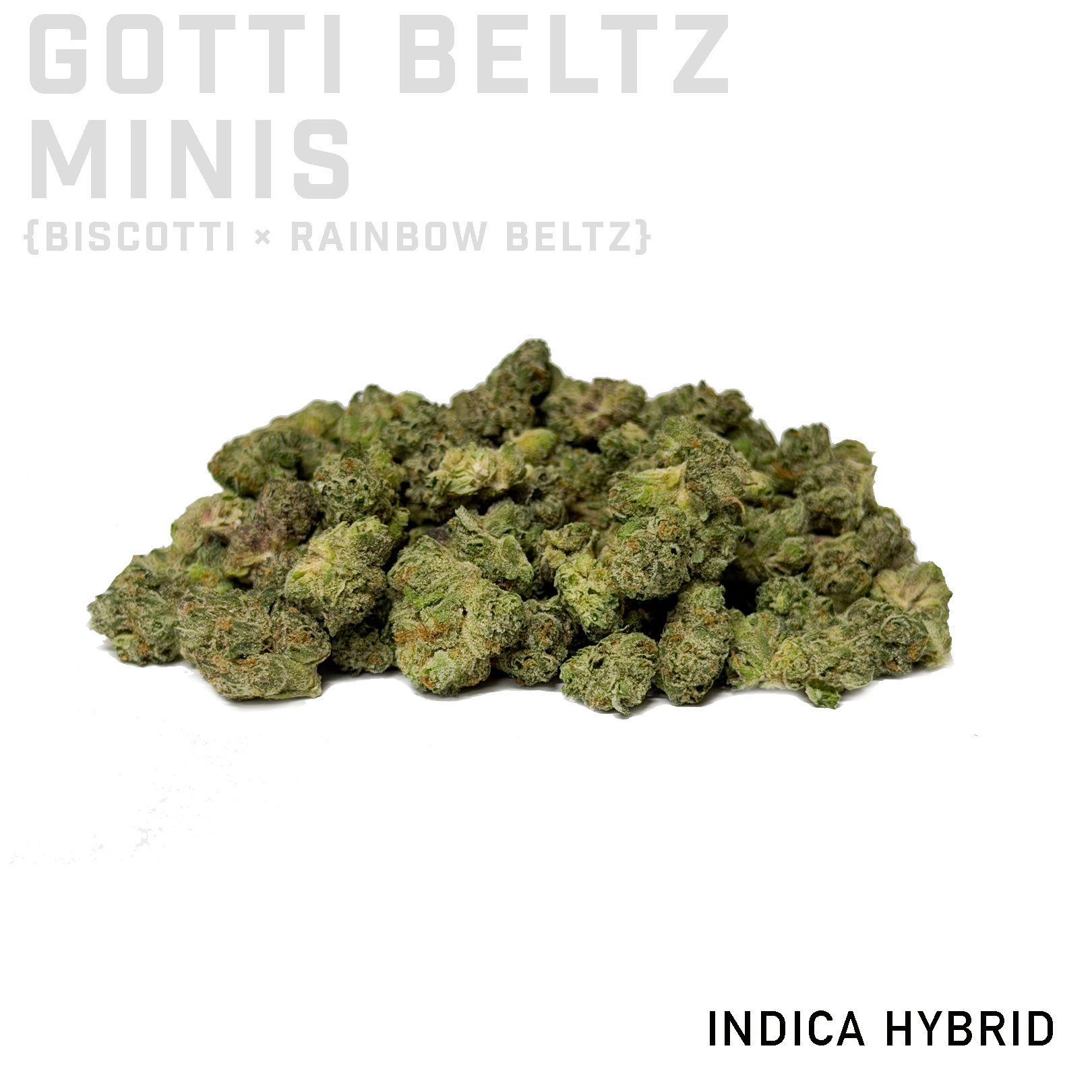 Gotti Beltz Minis