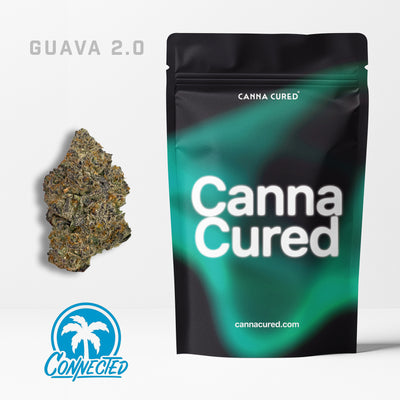Guava 2.0
