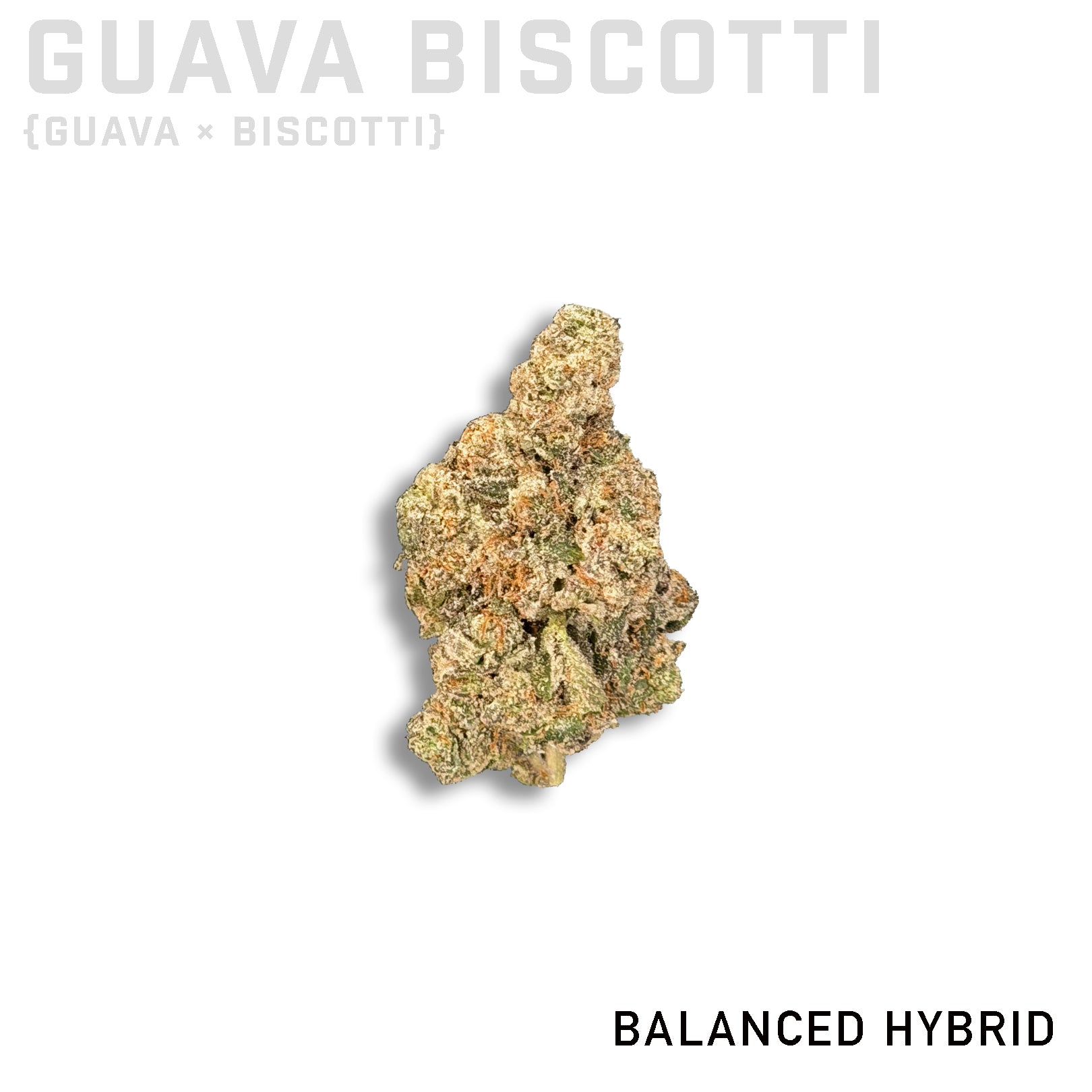 Guava Biscotti