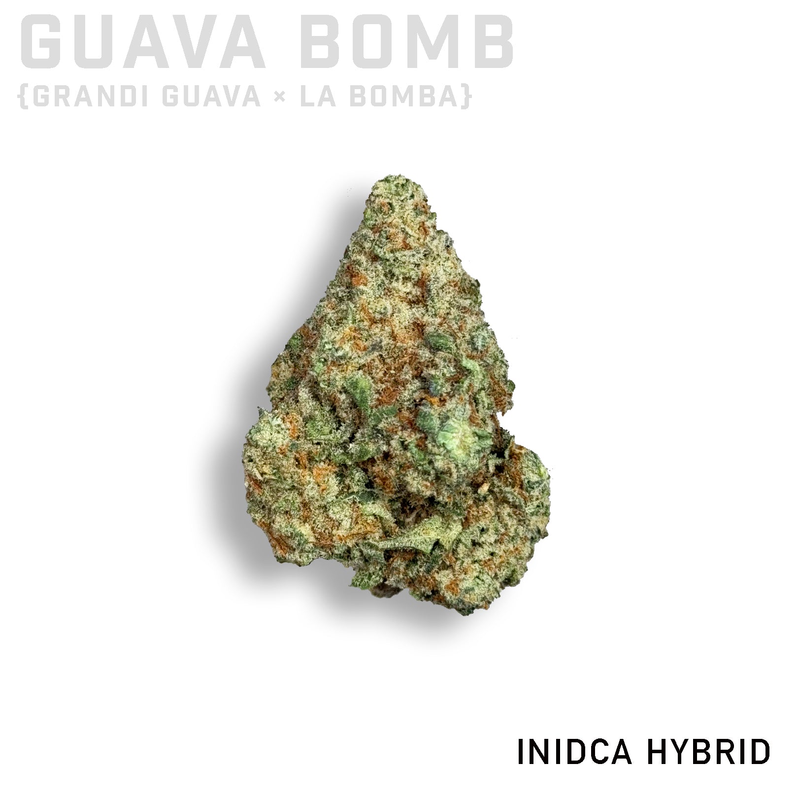 Guava Bomb