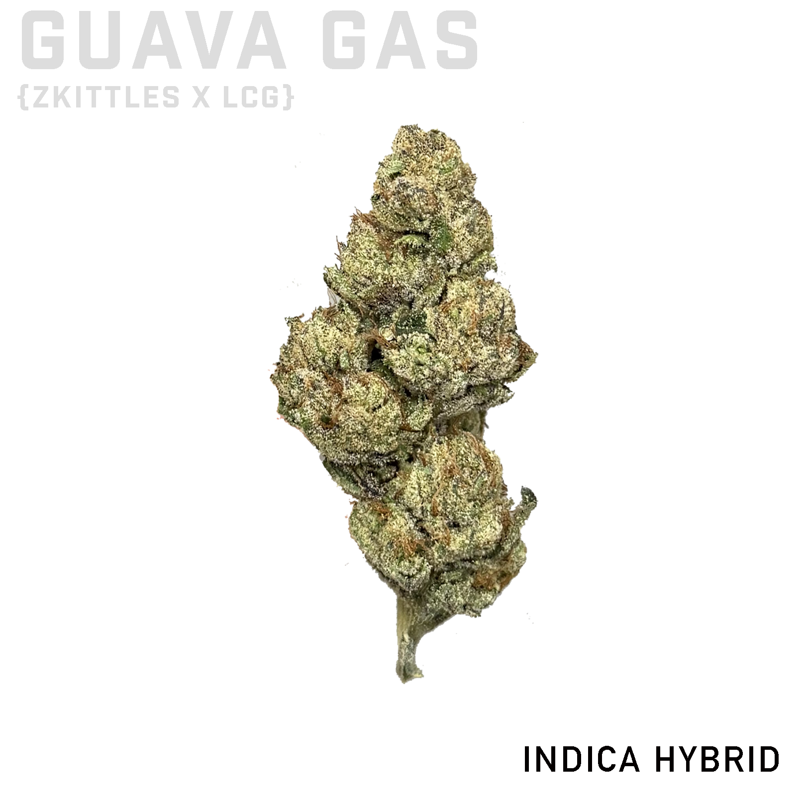 Guava Gas