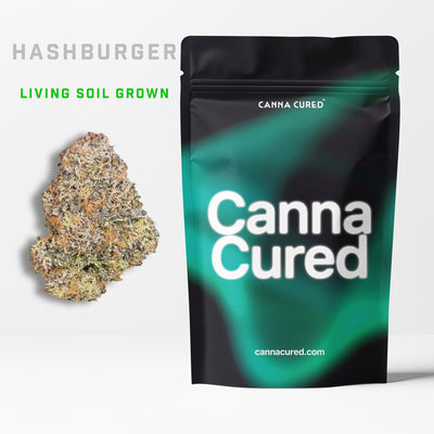 Hash Burger Living Soil Grown
