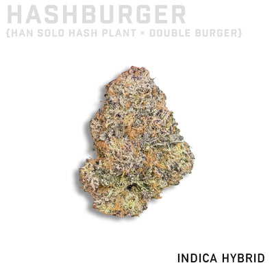 Hash Burger Living Soil Grown