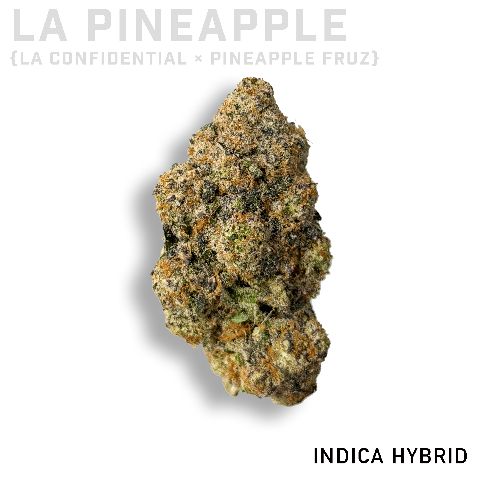 LA Pineapple