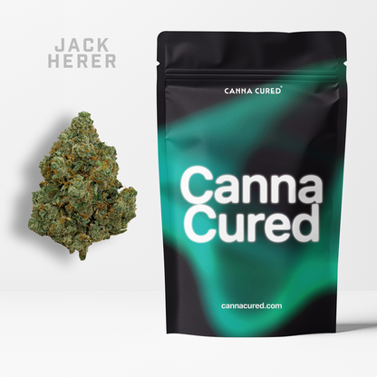 Jack Herer THCa Flower – CC