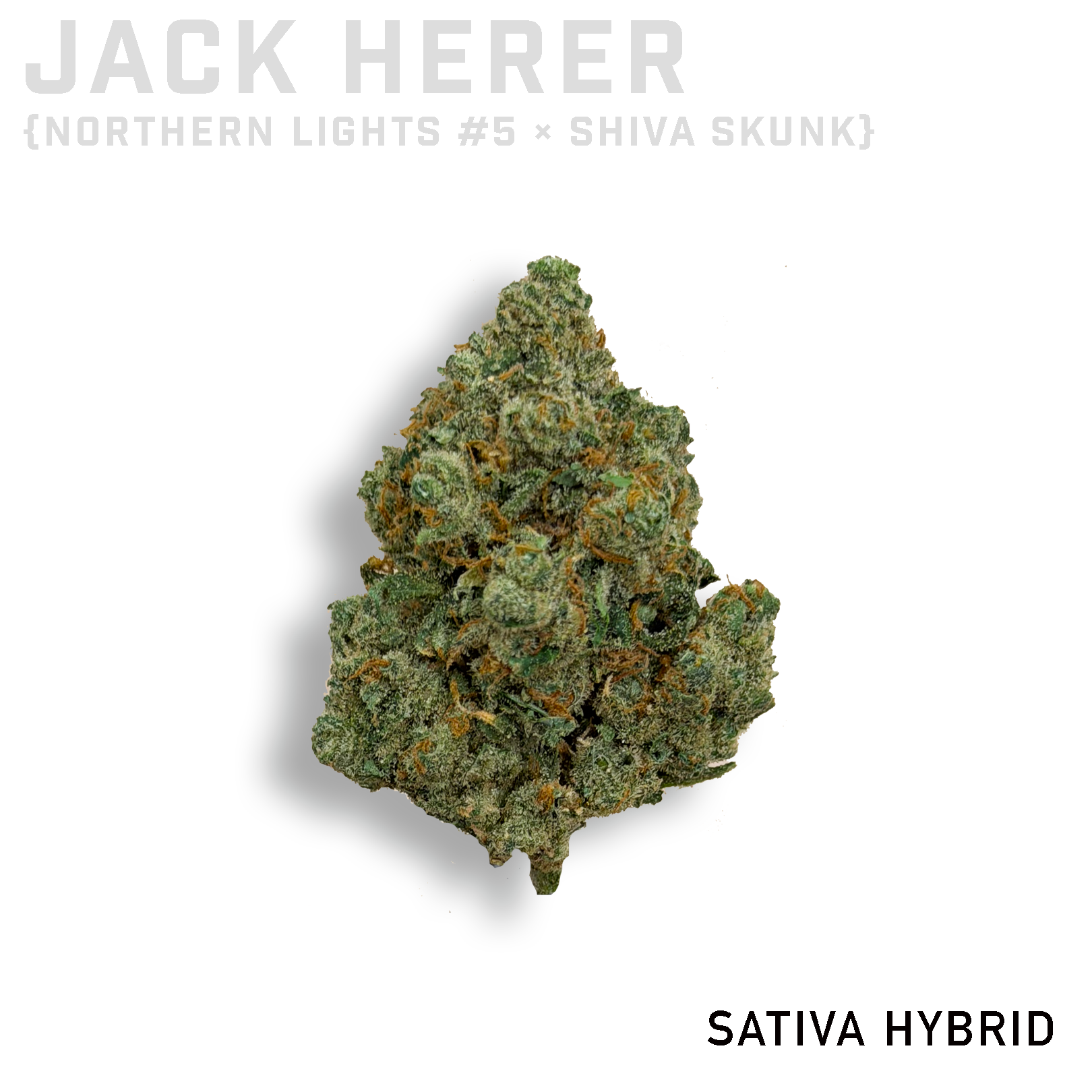 Jack Herer THCa Flower – CC