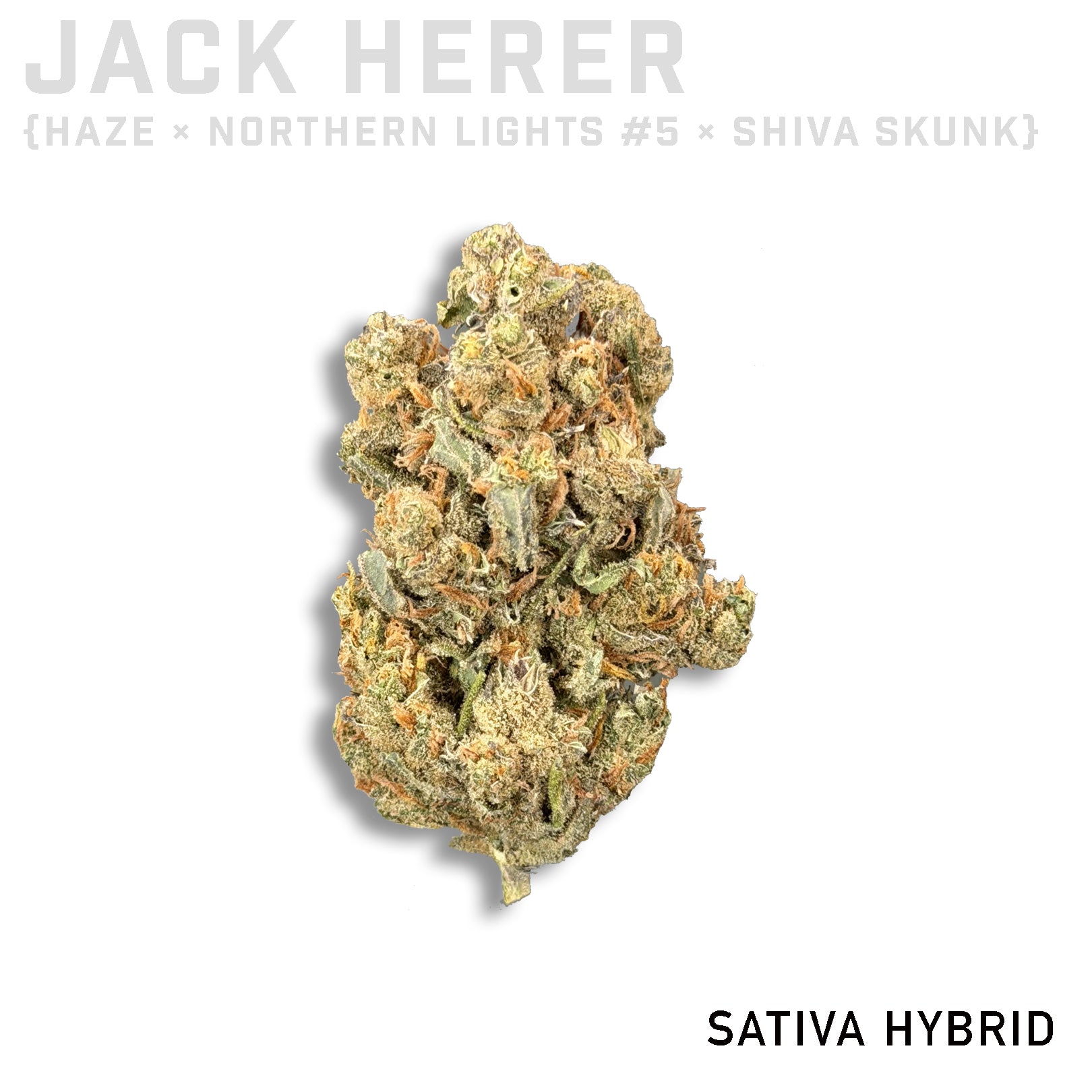 Jack Herer