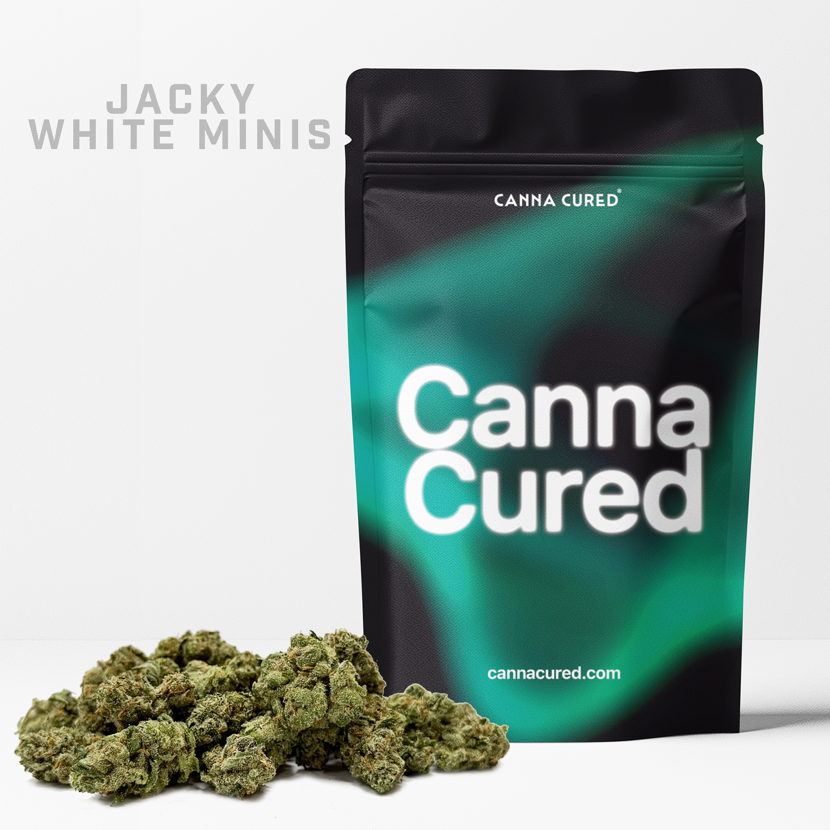Jacky White Minis