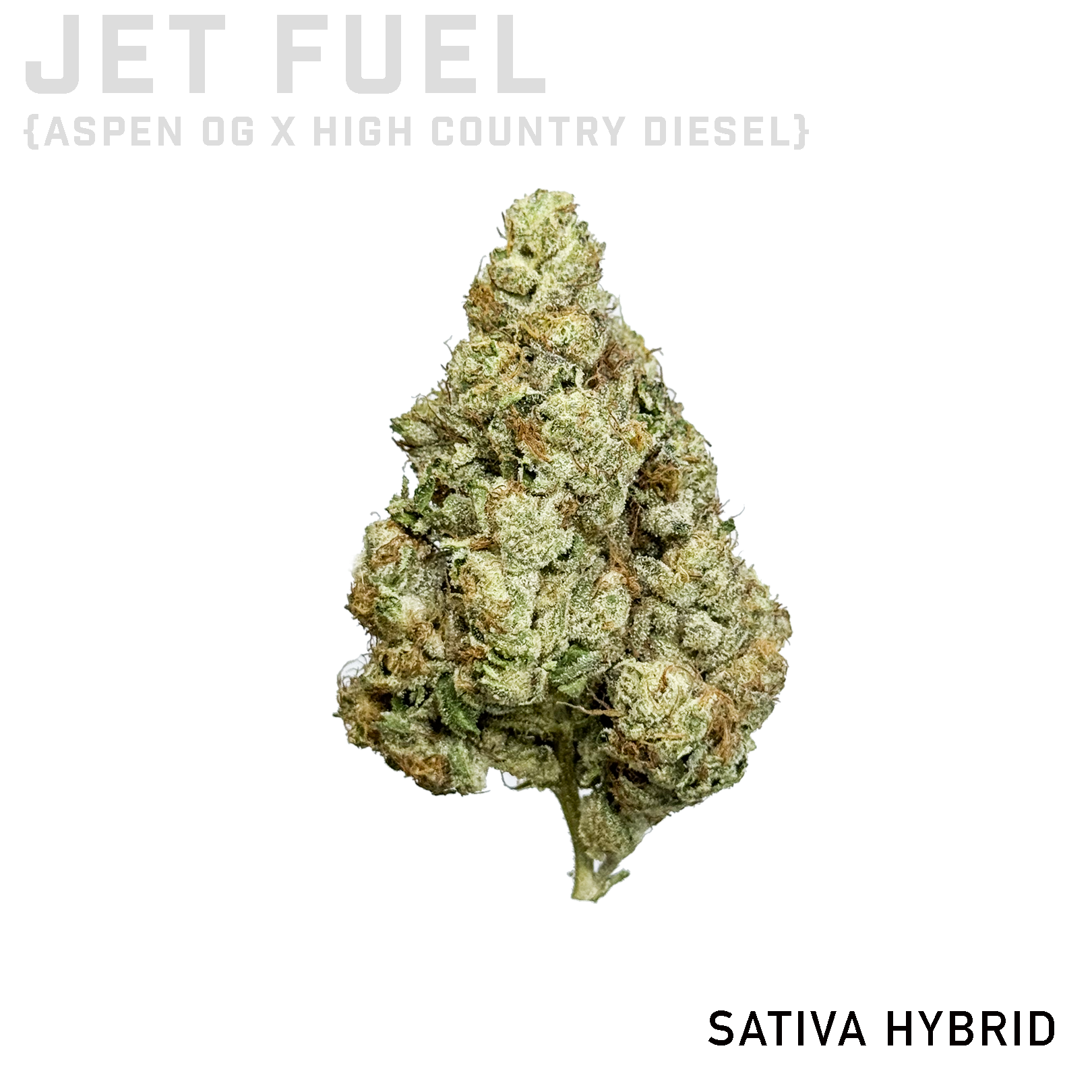 Jet Fuel