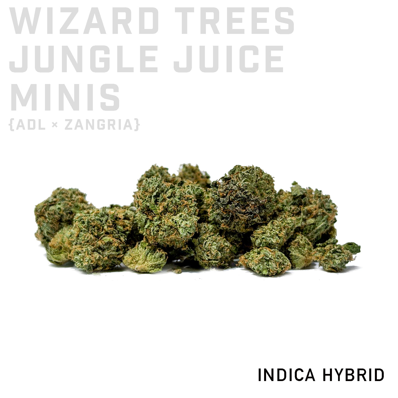 Wizard Trees Jungle Juice Minis