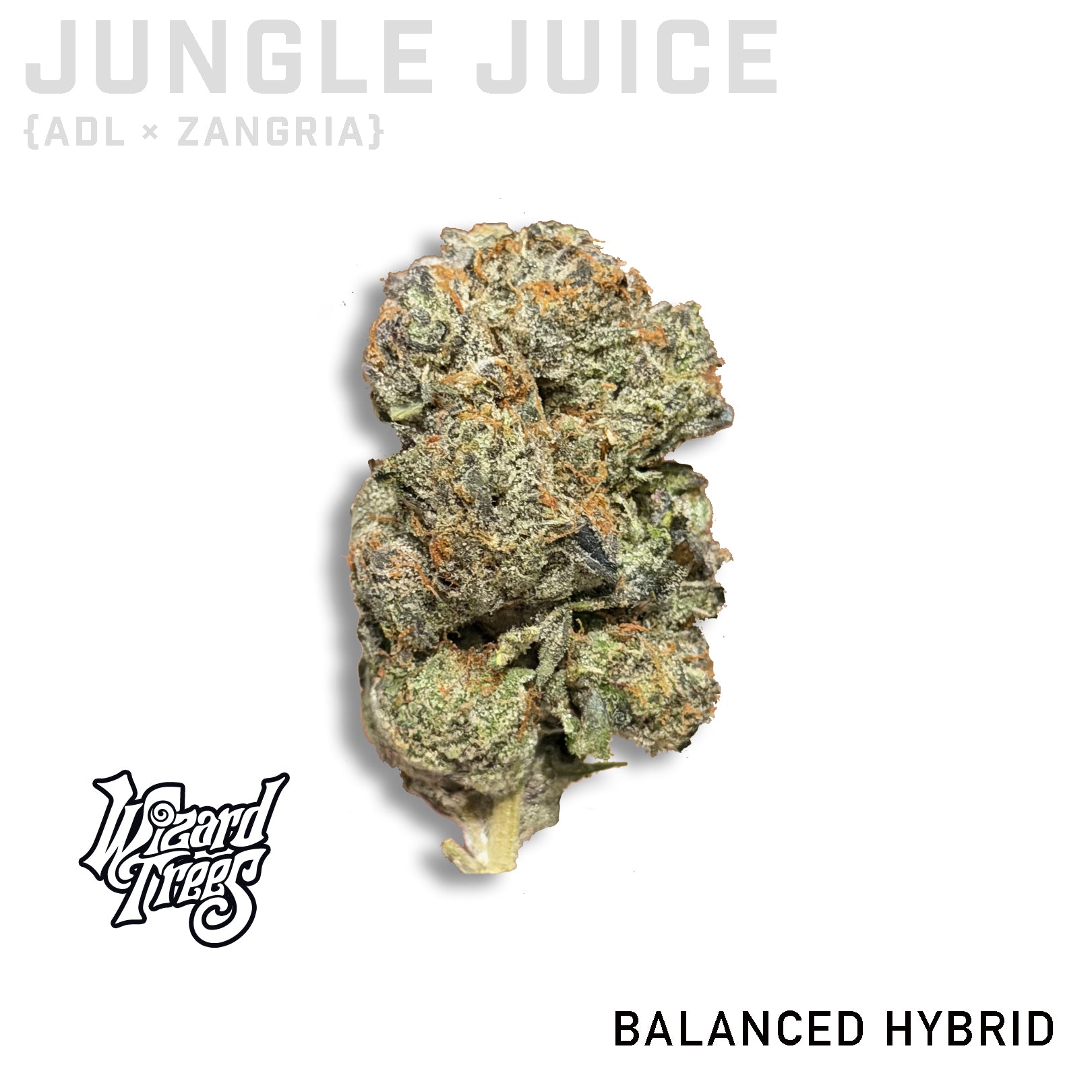 Jungle Juice by Wizard Trees